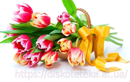 фотографии, цветы